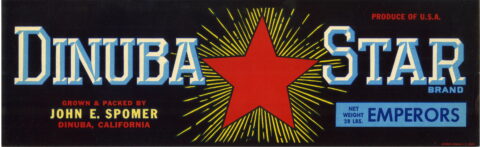 Dinuba Star